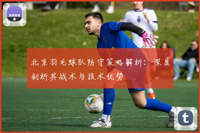 北京羽毛球队防守策略解析：深度剖析其战术与技术优势