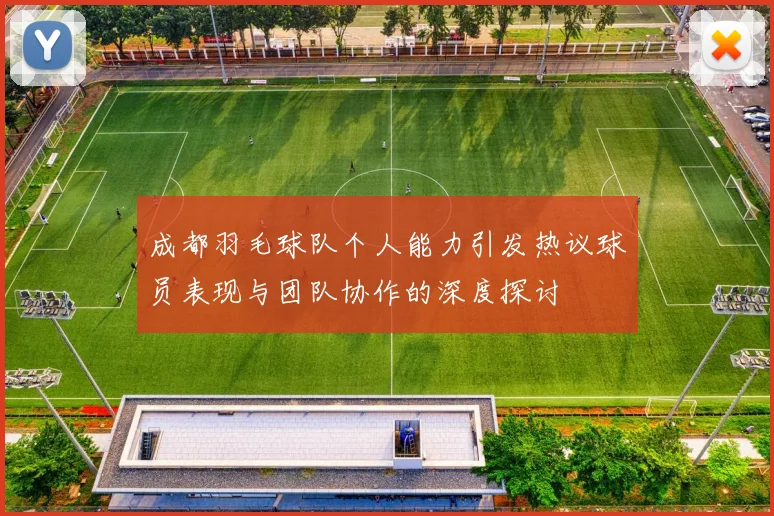 成都羽毛球队个人能力引发热议球员表现与团队协作的深度探讨